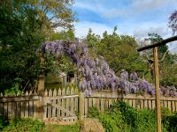 Garten zur Mitbenutzung Bayern - Pfaffenhofen a.d. Ilm Vorschau