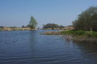 idyllisches Baugrundstück ruhig gelegen unweit von Rostock zwischen Bützow und Schwaan Güstrow - Landkreis - Zepelin Vorschau