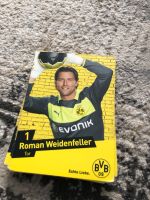 BVB Fan Autogramm Karten 2013 Essen - Essen-Borbeck Vorschau