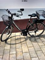 E-Bike gebraucht Hessen - Biebesheim Vorschau