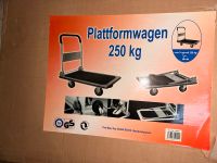 Plattformwagen Niedersachsen - Großenkneten Vorschau