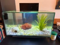 Aquarium Fluval Edge 23 l Nordrhein-Westfalen - Roetgen Vorschau