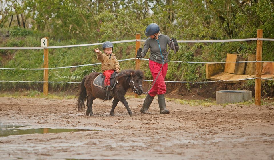 Ponyspass für kleine Pferdefreunde in Schuby