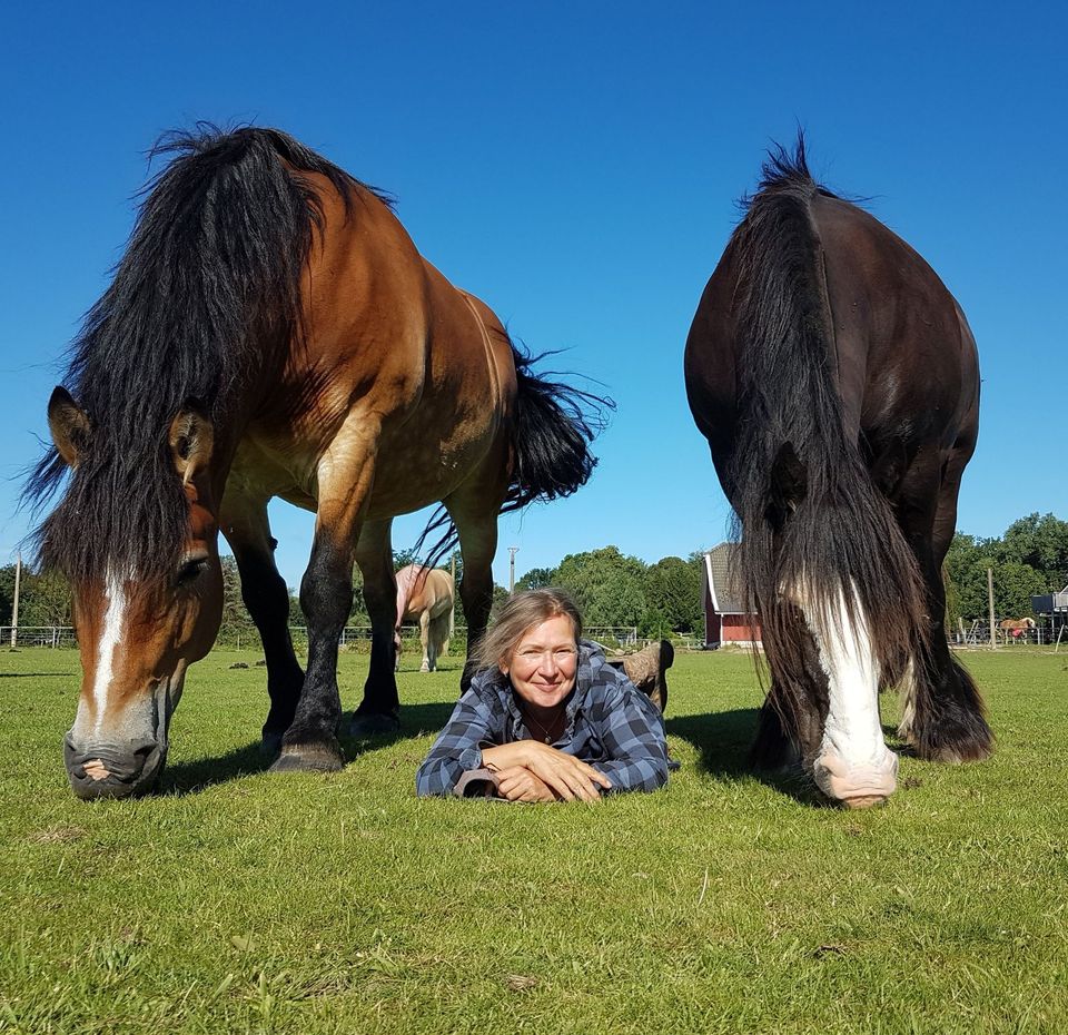 Pferdeurlaub Fair Horsemanship Retreat Ostsee Erwachsene in Saatel