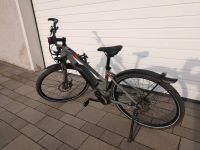 Damen E-Bike Pegasus Solero Crossbike/Streetbike 28 Zoll Bayern - Kulmbach Vorschau