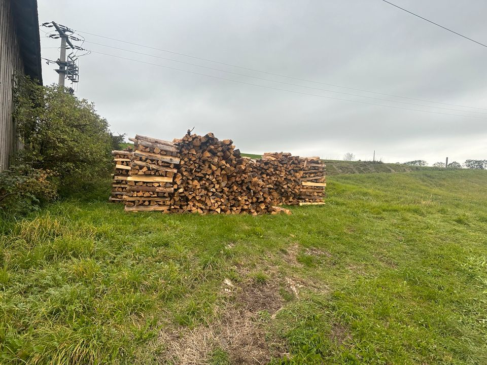Brennholz Fichte in Bernbeuren
