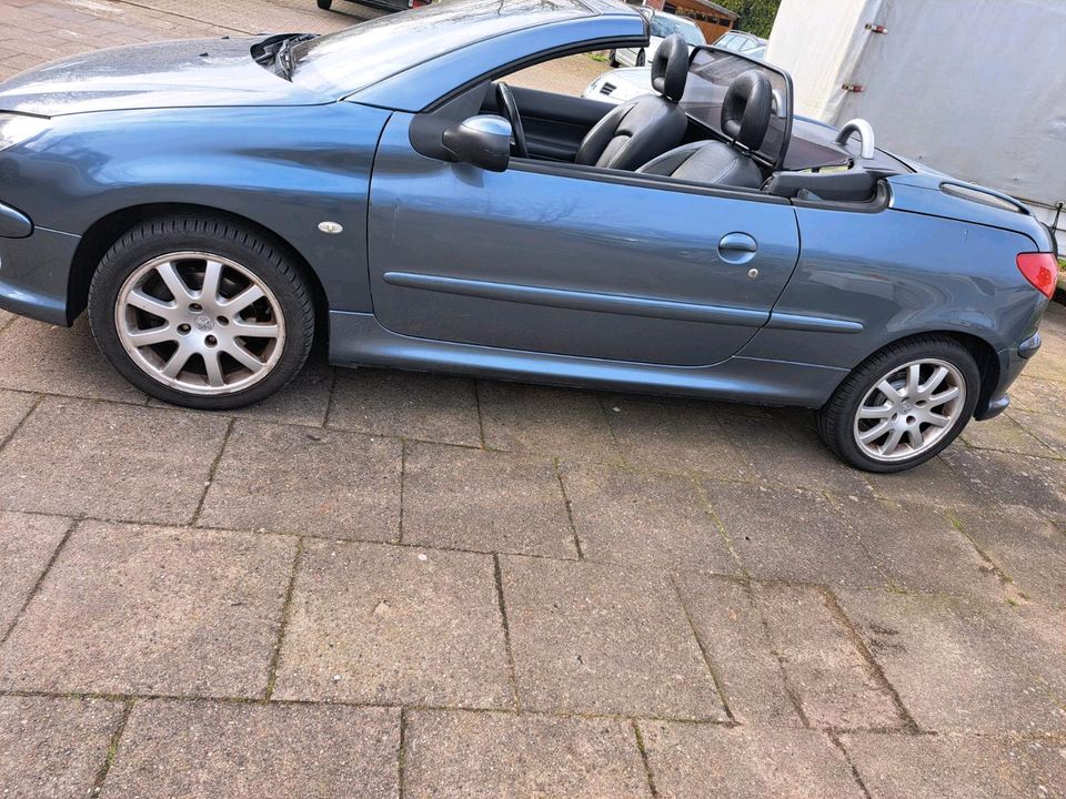 Peugeot 206 cc Cabrio in Lauenburg