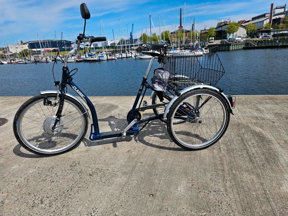 Pfautec Dreirad für Erwachsene Elektro Lastenrad 1300€ in Kiel
