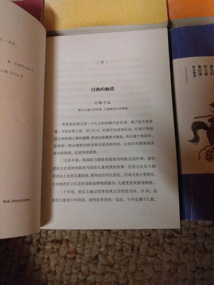 Chinesische Bücher - Chinesische Jugendgeschichten in Waldmünchen