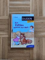 Duden Leseprofi - Ein Fohlen kommt zur Welt, 1. Klasse Hannover - Nord Vorschau