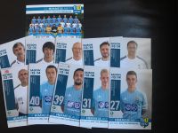 Fußball Chemnitzer FC Mannschaftskarten Saison 2013/2014 Sachsen - Chemnitz Vorschau