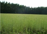 Suche Flächen Acker Wiesen zu Pachten bei Windsbach Höchstpreise Bayern - Windsbach Vorschau