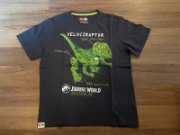 Dinosaurier T-Shirt Größe 146/152 Baden-Württemberg - Schriesheim Vorschau