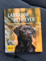 Buch Labrador Retriever Baden-Württemberg - Fahrenbach Vorschau