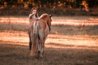 Beritt Jungpferdeausbildung Korrekturberitt Akademische Reitkunst Niedersachsen - Neu Wulmstorf Vorschau