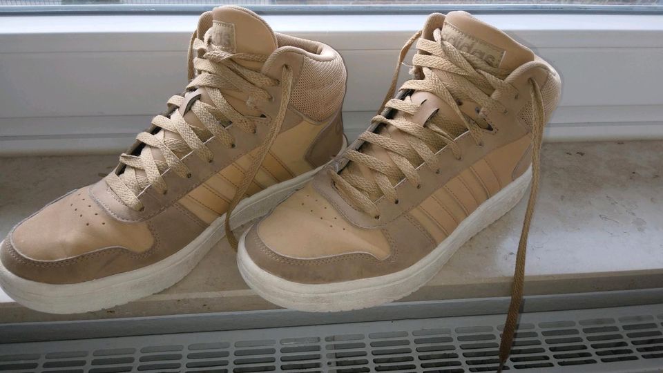 Adidas Schuhe, high top, Größe 40,5 in Bückeburg