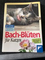 Bachblüten für Katzen Niedersachsen - Langelsheim Vorschau