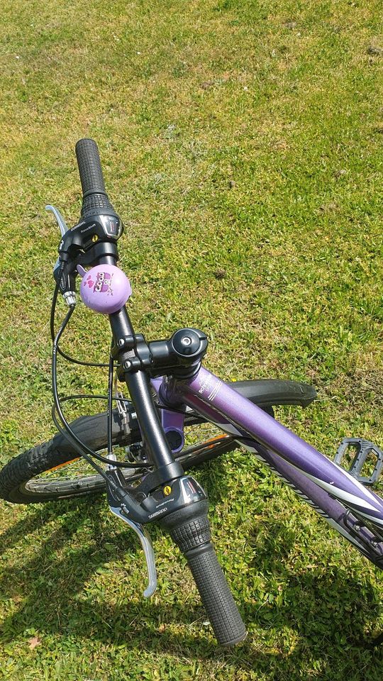 Specialized Hotrock 24,  21-Speed Girls Fahrrad,  purple/white in Greifenstein