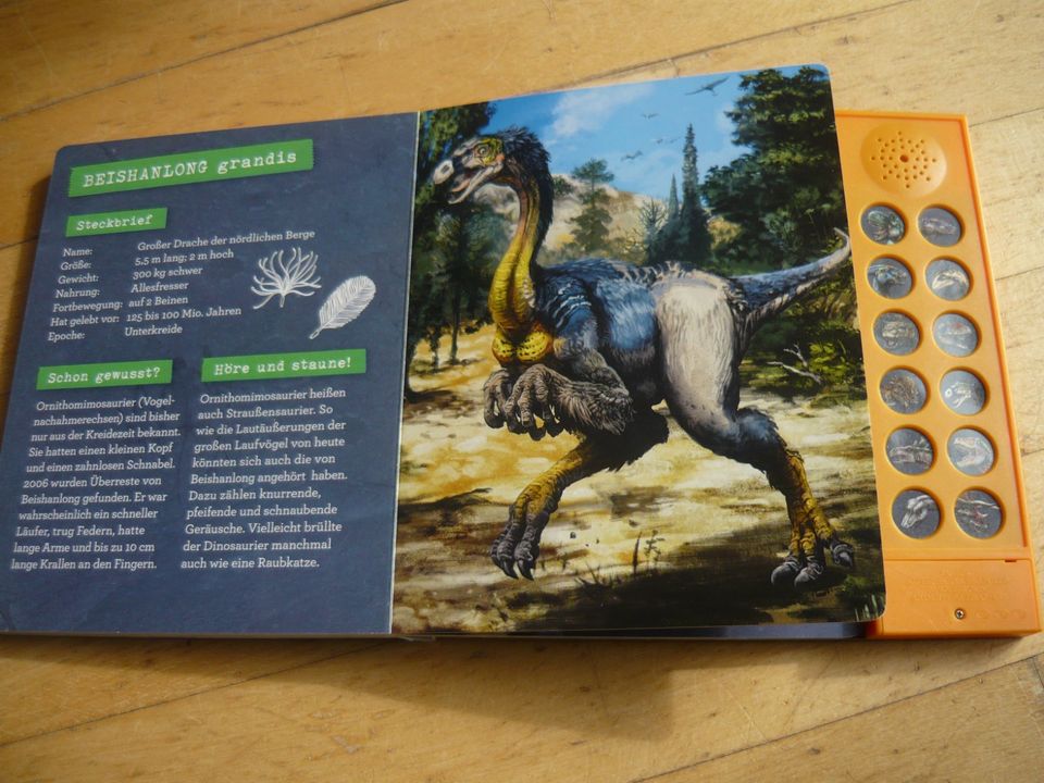 Das große Dinosaurier-Soundbuch (Coppenrath) T-Rex World in Tawern