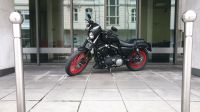 Harley-Davidson Sportster 883 Iron Wuppertal - Elberfeld Vorschau