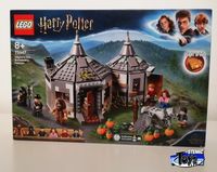 LEGO 75947  Harry Potter - Hagrids Hütte NEU/OVP Hessen - Oestrich-Winkel Vorschau