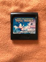 SEGA Konsolen Spiel Sonic Bayern - Hof (Saale) Vorschau