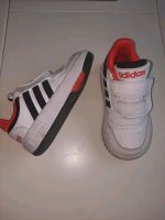 Coole Adidas Turnschuhe  Sneaker Größe 24 wie neu Herzogtum Lauenburg - Mölln Vorschau