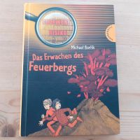 Buch Das Erwachen des Feuerbergs Michael Borlik Hessen - Mengerskirchen Vorschau