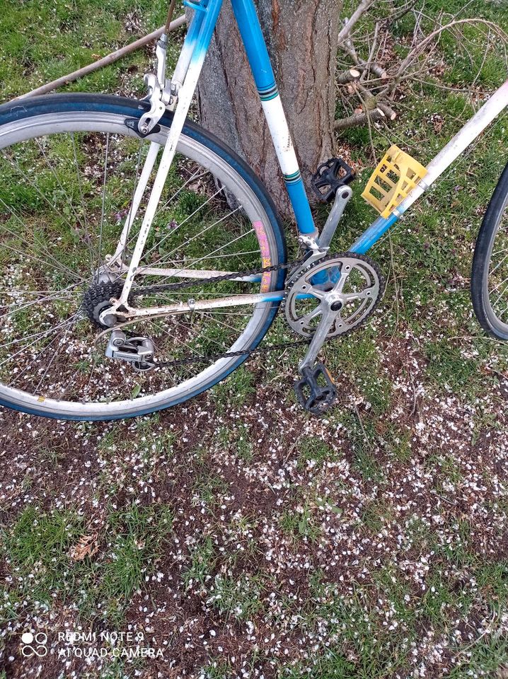 Vintage Rennrad mit einzigartiger Lackierung. in Neu-Zittau
