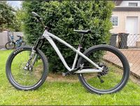 Dartmoor Hornet Raw 2018 Gr.S Downhill Enduro Hardtail MTB Hessen - Fulda Vorschau