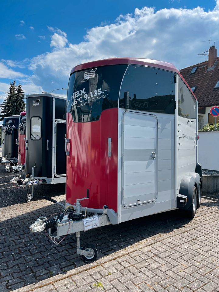 Ifor Williams HBX511 mit Frontausstieg Rot / Pferdeanhänger NEU! in Rosbach (v d Höhe)