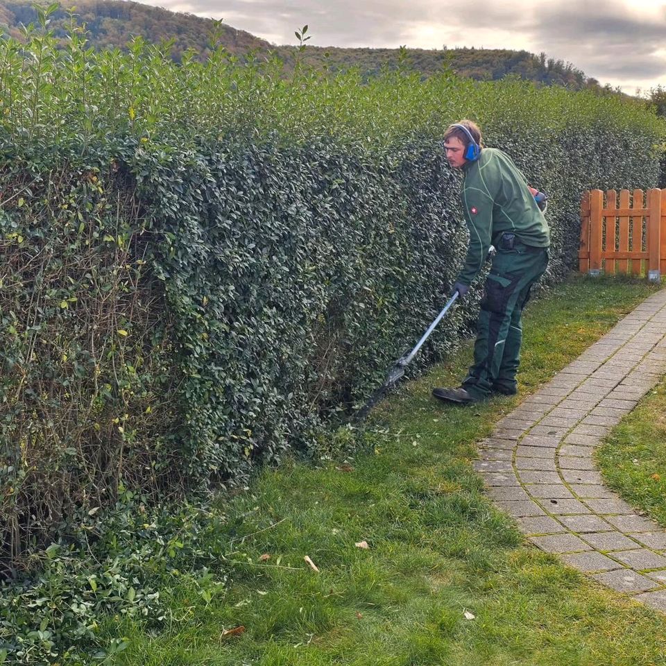 Gartengestaltung Aschenneller in Sontheim