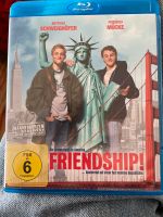 Friendship Blu Ray Schleswig-Holstein - Oldendorf (Holstein) Vorschau