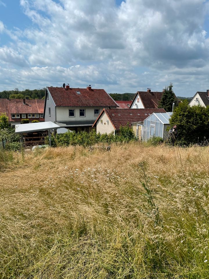 Rasenpflege - Wir mähen Ihren Rasen! Schnell, Sauber, Günstig! in Hattorf am Harz