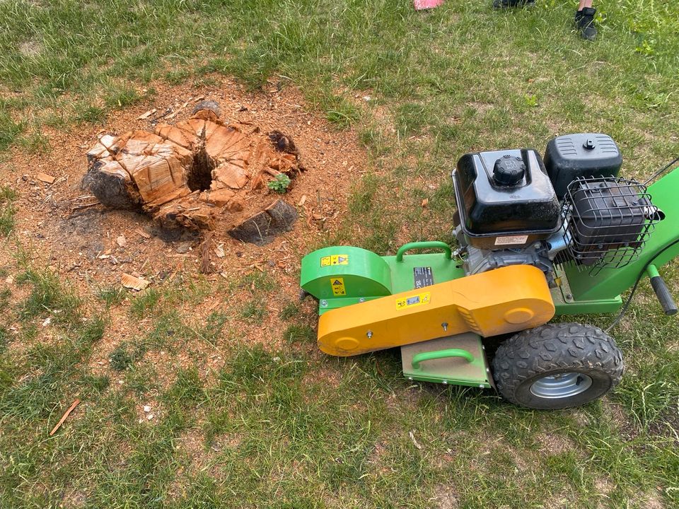 Wurzelstock entfernen, Baumstumpf entfernen, Wurzelfräsen, fräsen in Wiesbaden