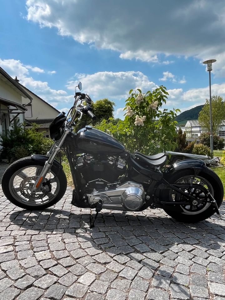 Harley Davidson Softail Standard Umbau in Sondershausen