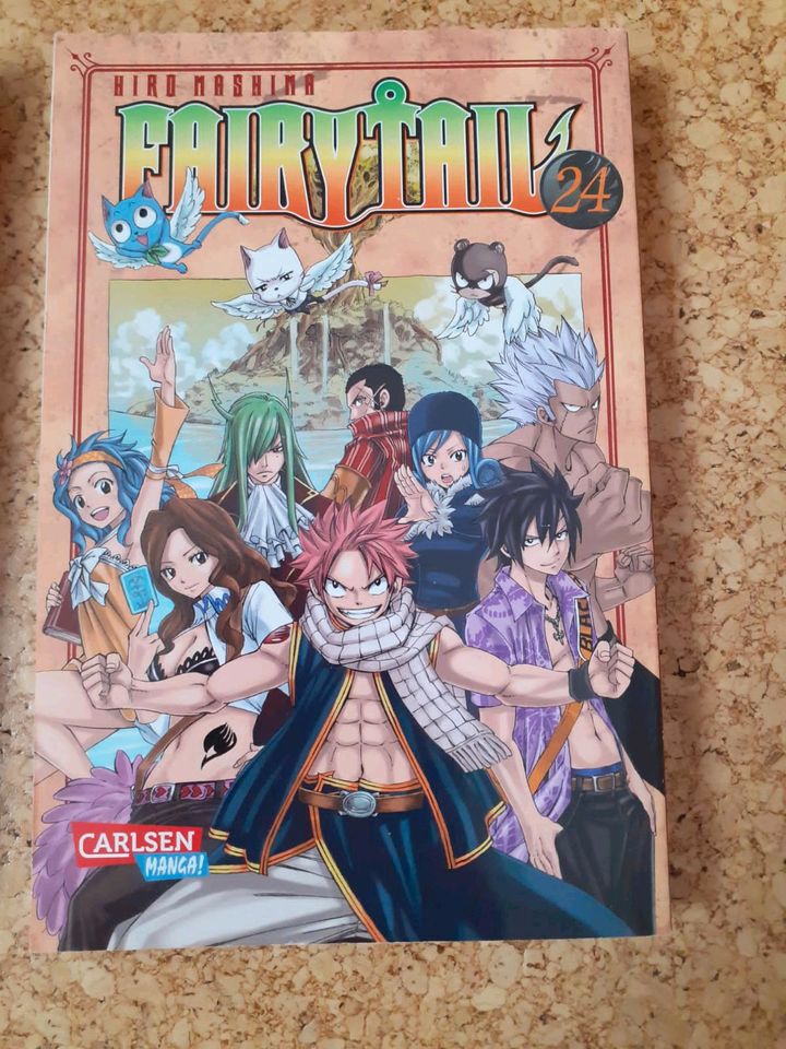 Mangas Fairytail und Shaman King in Braunfels