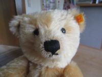 Steiff 'First American Teddy' 38 cm 2003 NEU! Nordrhein-Westfalen - Meschede Vorschau