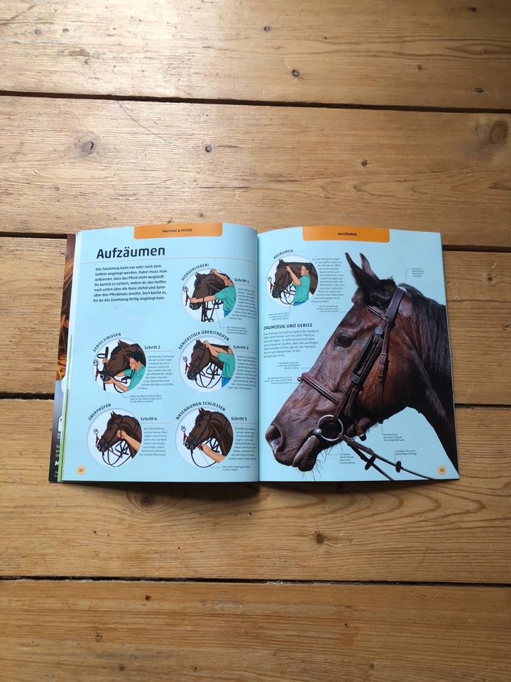 Pferde und Ponys - Rassen Haltung Pflege Kinderbuch ab 8 Jahren in Hamburg