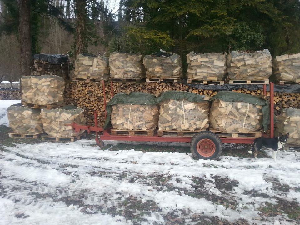 Brennholz Kaminholz Scheitholz Fichte trocken 85,-€ in Tettnang