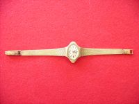 Pallas Para Damen Armbanduhr Handaufzug mechanisch Vintage 70er J Bayern - Neu Ulm Vorschau