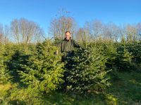 Biozertifiziertes Tannengrün , Weihnachtsbäume, Dekotannen, Tanne Schleswig-Holstein - Brebel Vorschau