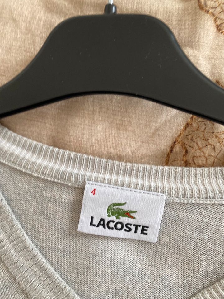 Pullover Lacoste, Gr. 4, Männer, Pullis, 100% Baumwolle in Neusäß