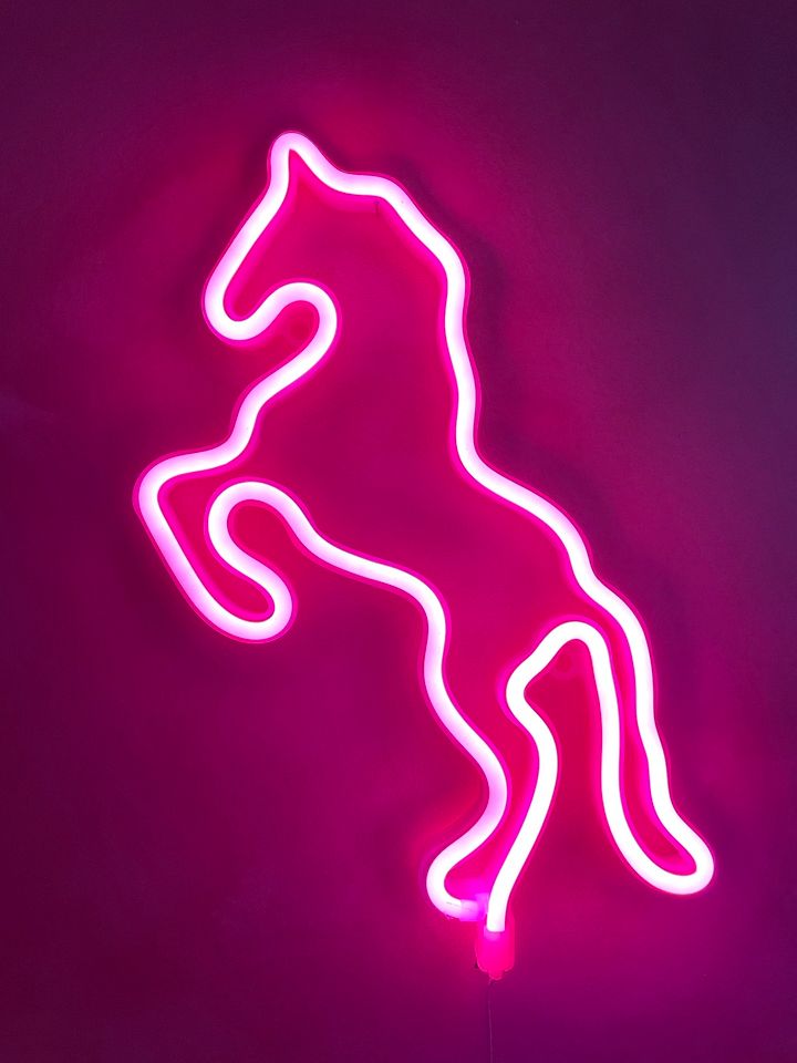 Neon Leuchtröhre Lampe Pferd in Triberg