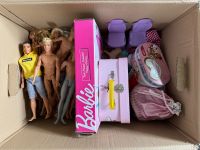 Barbie Sortiment mit ca. 15 Puppen Bayern - Zachenberg Vorschau