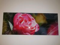 Glasbild Rose 125×50 cm Bayern - Germering Vorschau
