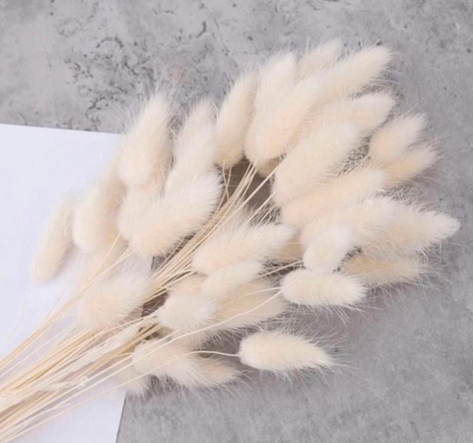 Pampasgras XXL super fluffig Trockenblumen Hochzeit Dekoration in Mögglingen