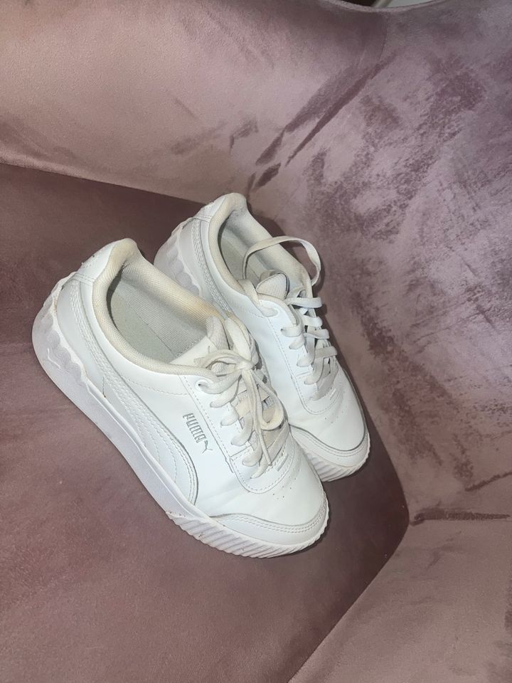 Damen Puma Sneaker in Reinbek