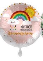 Ballon Helium Luft Balloon Premioloon NEU Regenbogen Sonne bunt Nordrhein-Westfalen - Leverkusen Vorschau