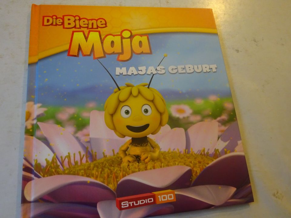 Kinderbücher Biene Maja in Gifhorn